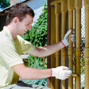 4 key things to consider when choosing a new garden fence